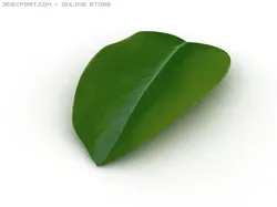 leaf