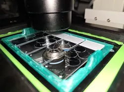 Multi-Slide Microscope Adapter