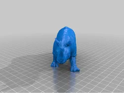 Rhino II