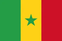 senegal flag CG Textures in Fabric 38355