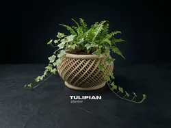 Tulipian Planter