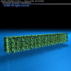 hedge