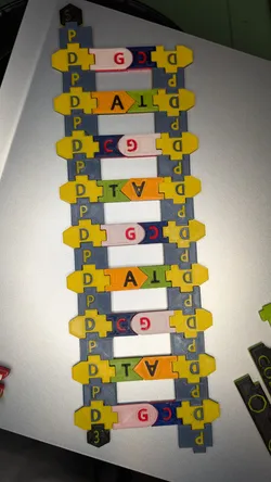 Magnetic DNA / RNA Tiles