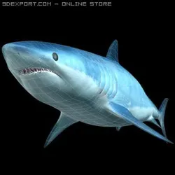 mako shark