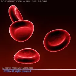 red blood cells