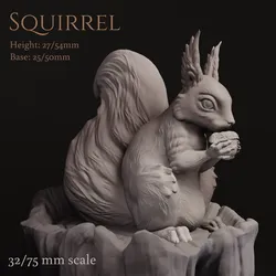 Squirrel