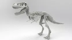 Tyrannosaurus Rex Skeleton 3D print model