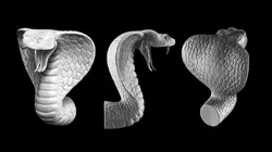 Cobra head 3D print model