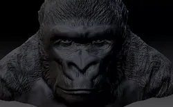 gorilla head 3D print model