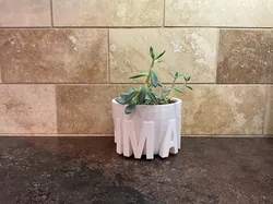 "im a plant" planter