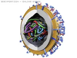influenza virus