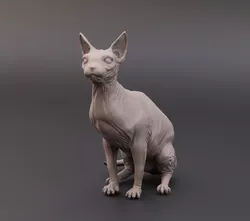 Sphynx cat 3D print model