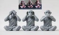 The Three Wise Monkeys #2