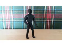 Action figure