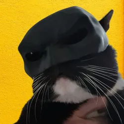 bat-cat