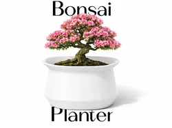 Bonsai Planter (Pot)