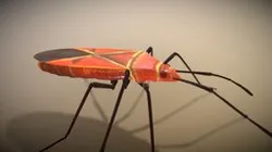 Firebug