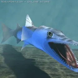 killer barracuda 3d