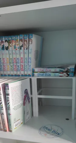 Manga Book Risers for IKEA Furniture Bookcase
