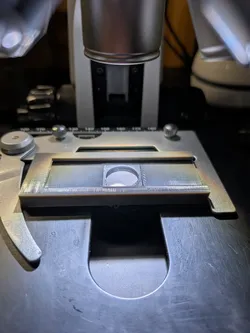 Microscopy Microfossil Slide