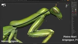 Praying Mantis 3D print model