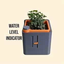 Self Watering Planter-Water Level Indicator