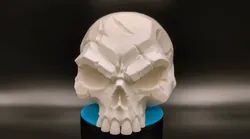 Battle-Scarred Skull - Dark Gothic Decor