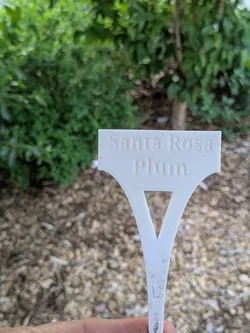 Blank Plant Label