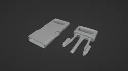 Buckle Bag