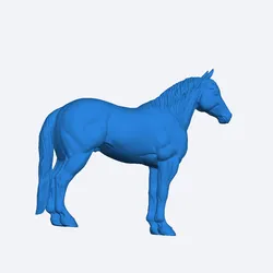 cavalo