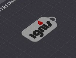 IGNIS keychain