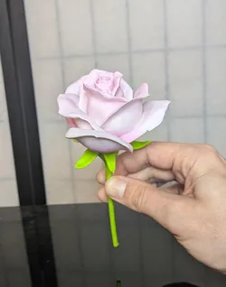 Rosa, sp (Domesticated Rose, short stem)
