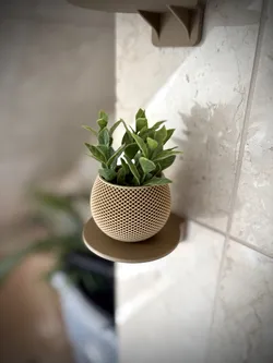 Small round shelf (no screws)