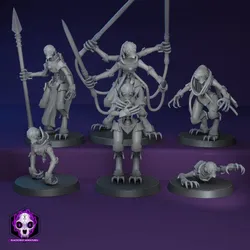[6 Models] Transmuters | March 2026 Release