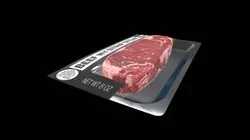 Strip Steak Skin