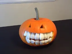 Teeth