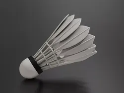 badminton 3D print model
