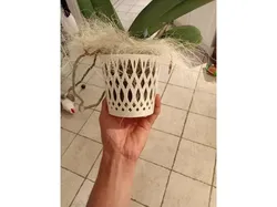 cache pot orchidee