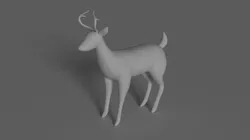 Deer