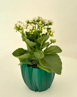 Drape Vase A