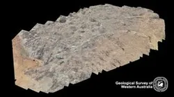 EAF - Newmann SZ - Newmann Rock - Area1