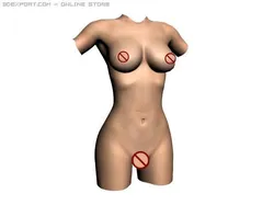 female torso