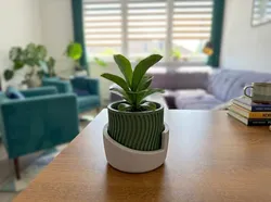 Japandi plant pot