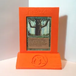Magic The Gathering - Trophy/Card Display