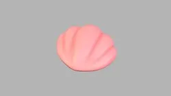 Sea Shell