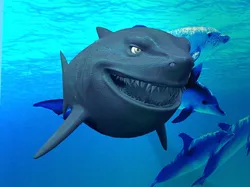 shark