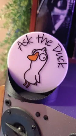 "Ask the Duck" Coaster