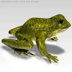 crazy frog