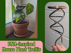 DNA-inspired House Plant Trellis