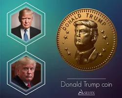 Donald Trump coin ready to 3D print 3D print model